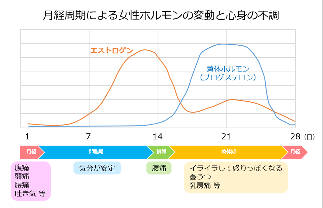 月経周期による女性ホルモンの変動と心身の不調